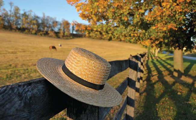 » Country Heritage Tours Amish hat hung on a fence post in foreground with horses grazing in the background
