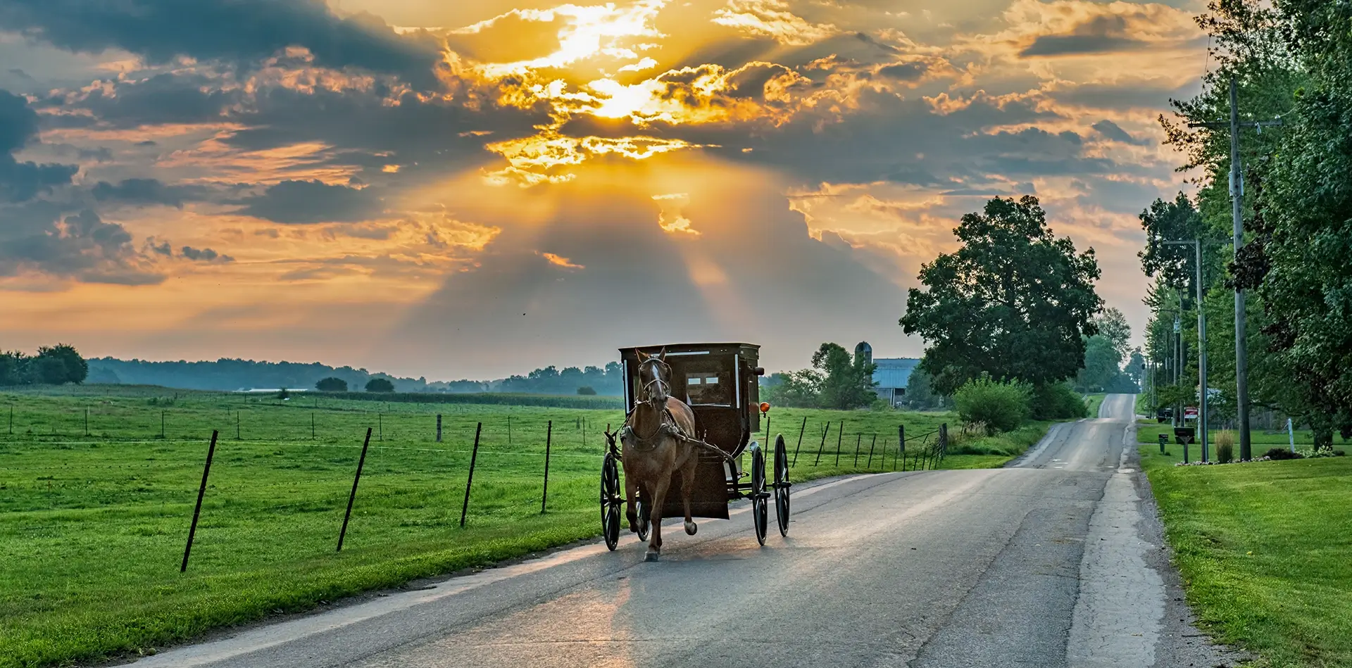 » Country Heritage Tours » Country Heritage Tours Amish horse and buggy traveling down the road with green grass fields behind