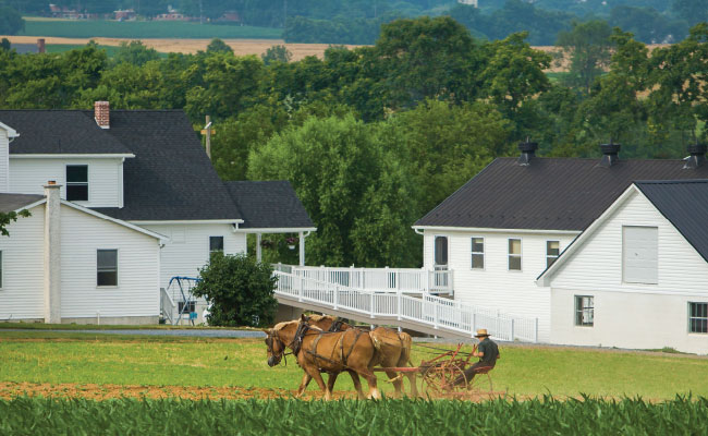 » Country Heritage Tours White Amish farm with team of two horses pulling a farmer on traditional Amish equipment in the foreground