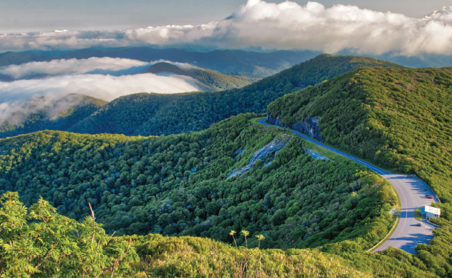 » Country Heritage Tours Road winding through the Blue Ridge Mountains