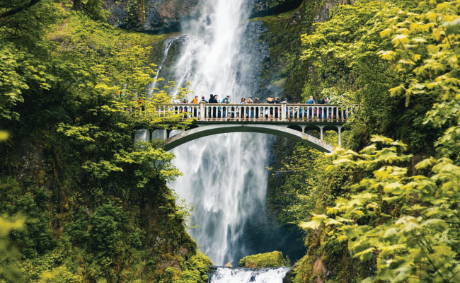 » Country Heritage Tours Multonomah Falls bridge in front of a waterfall