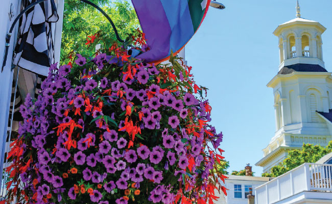 » Country Heritage Tours Colorful flower planter hanging outside a shop in Provincetown Massachusetts
