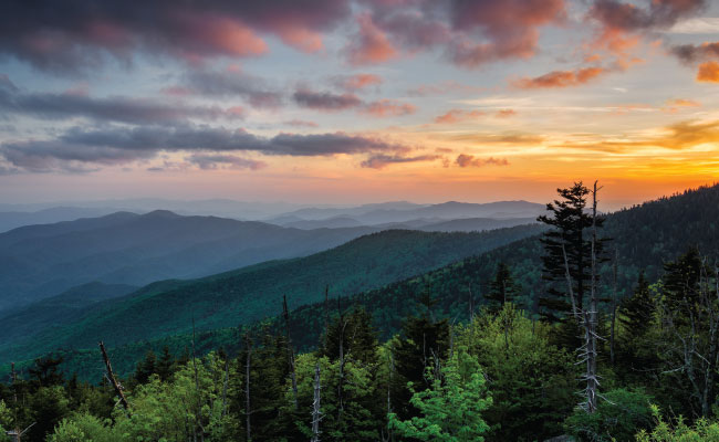 » Country Heritage Tours Smoky Mountains
