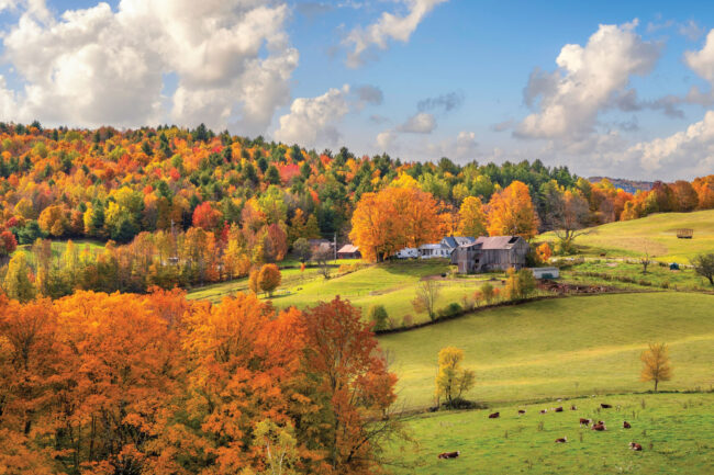 » Country Heritage Tours 