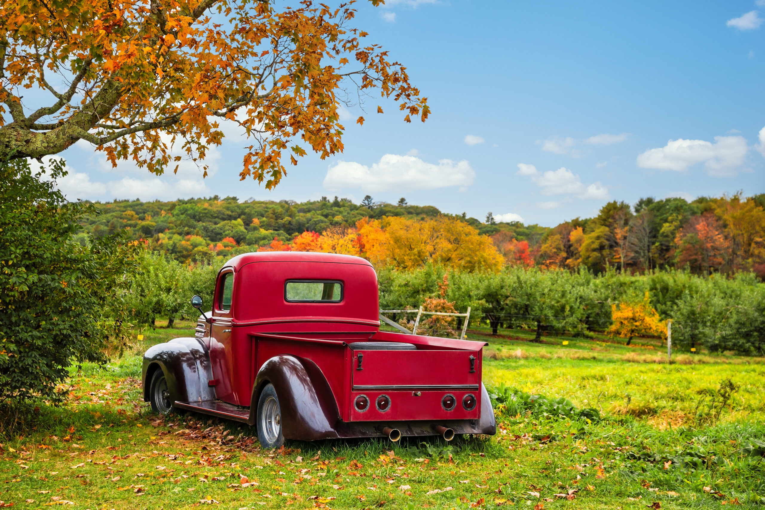 » Country Heritage Tours 