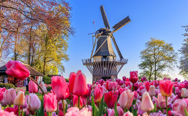 » Country Heritage Tours 