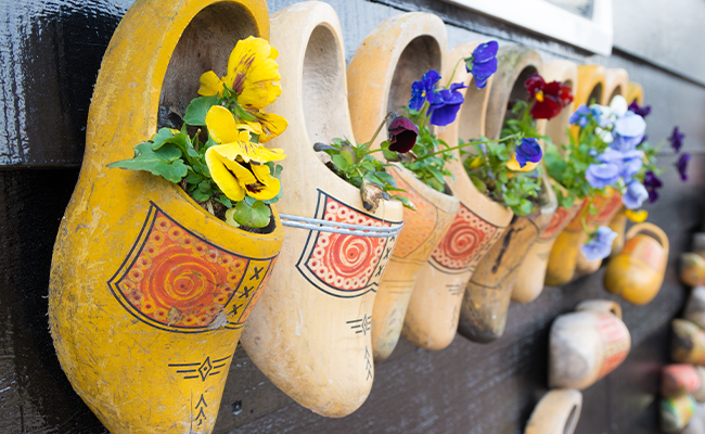 » Country Heritage Tours 