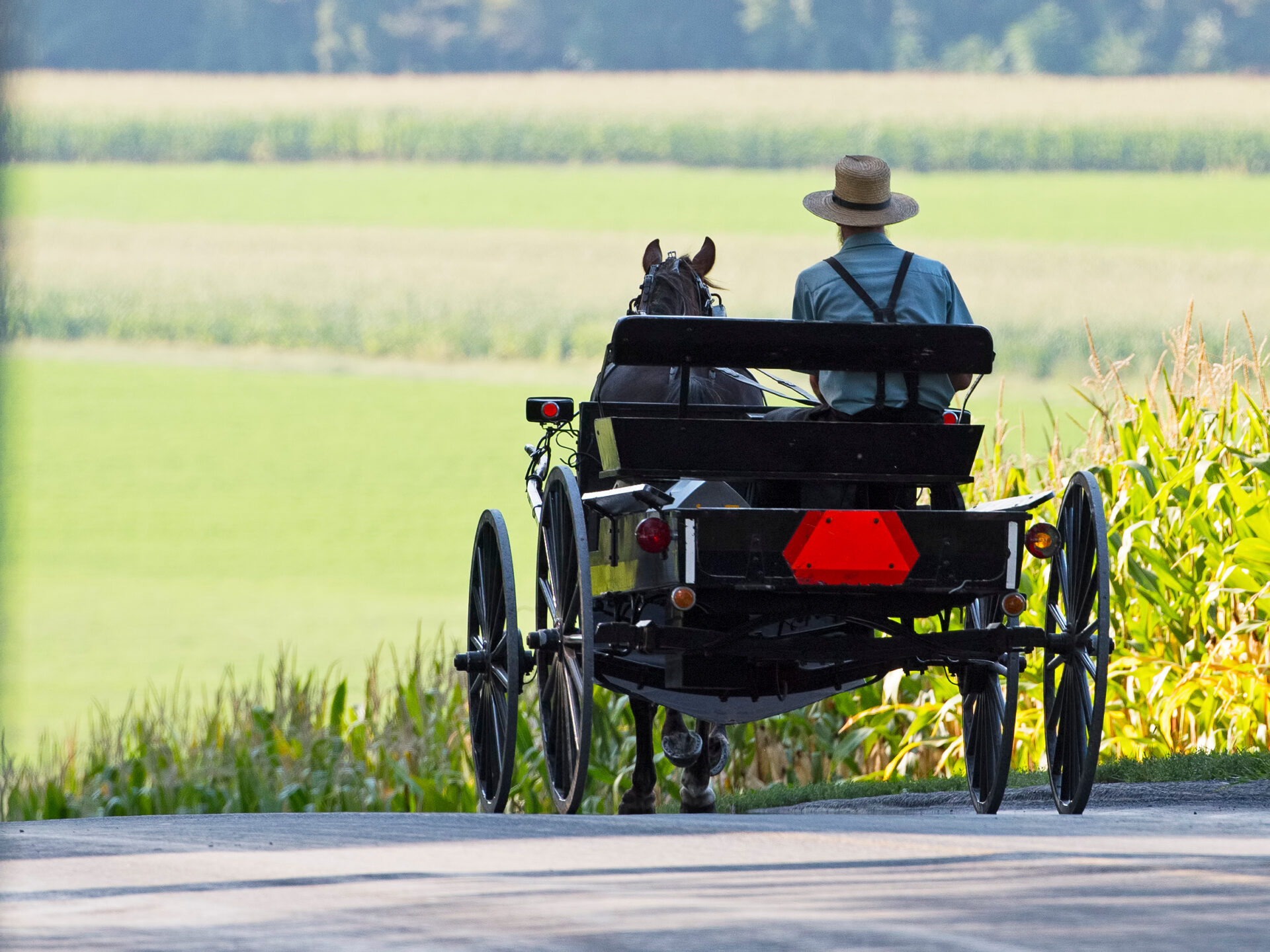 » Country Heritage Tours » Country Heritage Tours