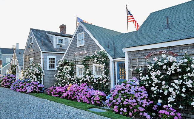 » Country Heritage Tours 