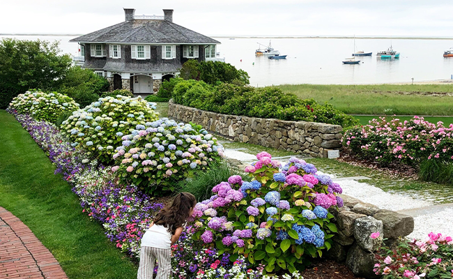 » Country Heritage Tours 