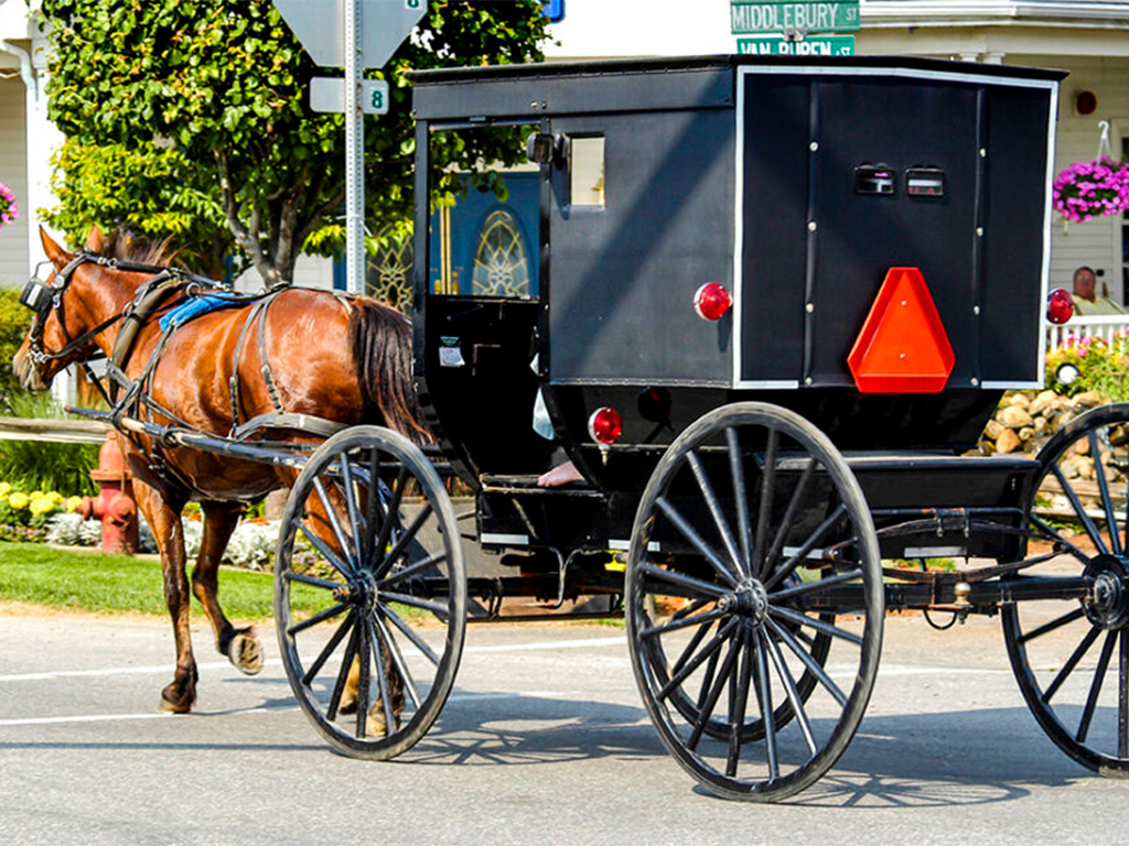 » Country Heritage Tours 
