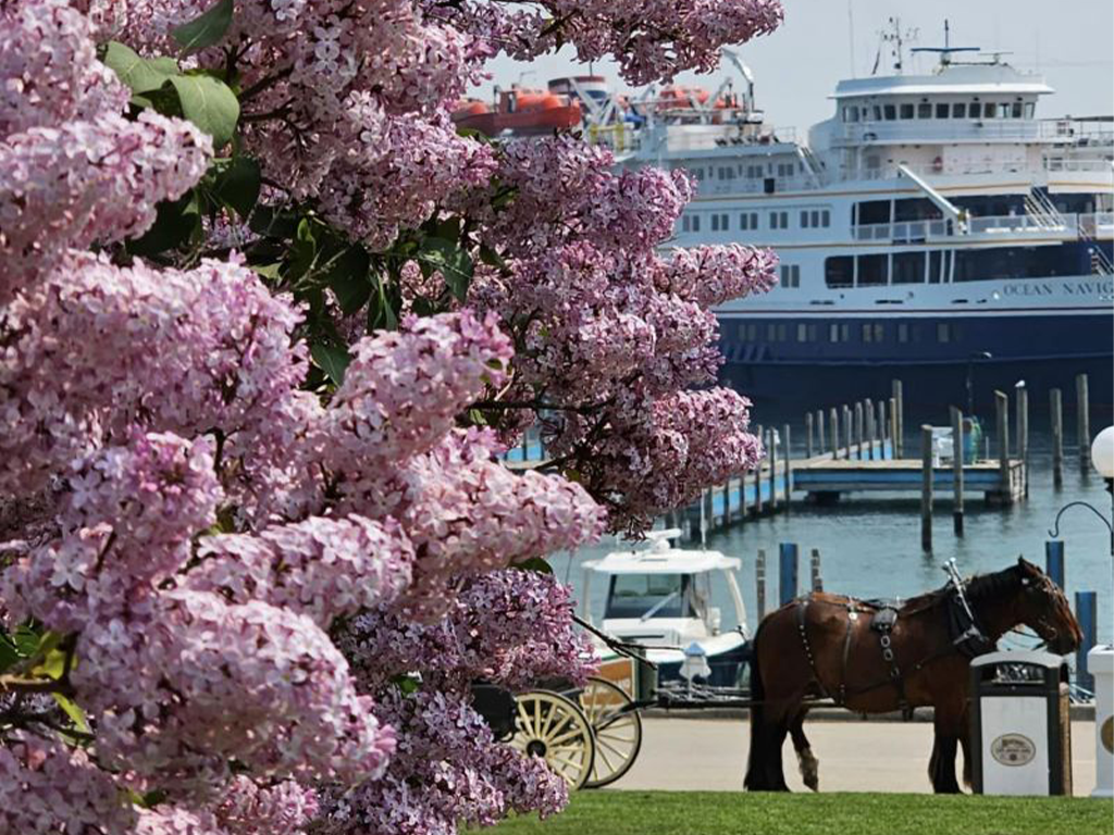 » Country Heritage Tours 