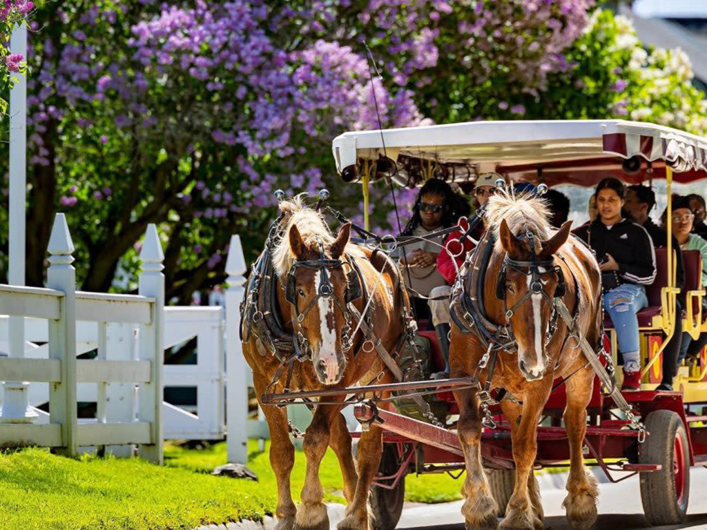 » Country Heritage Tours 