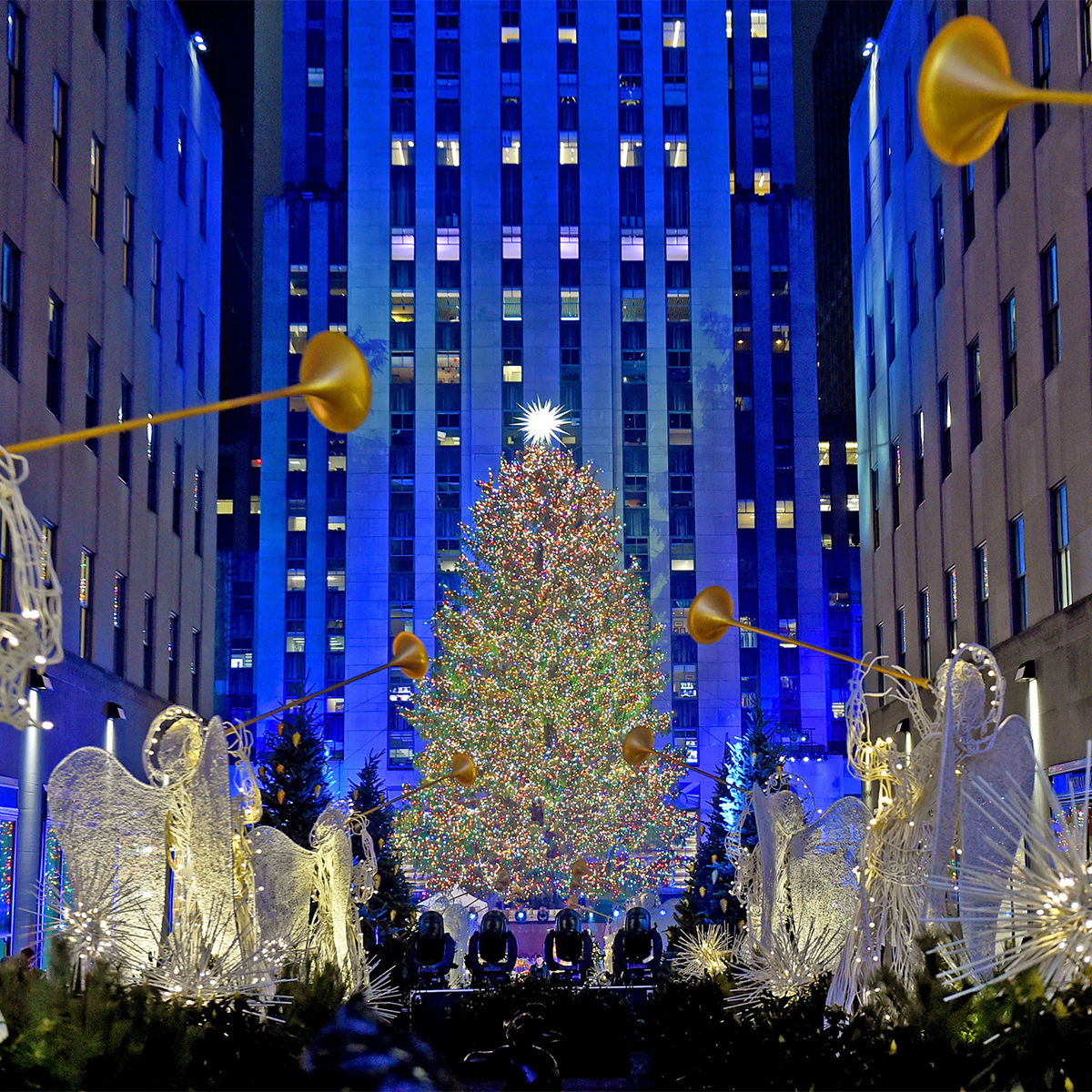 » Country Heritage Tours 