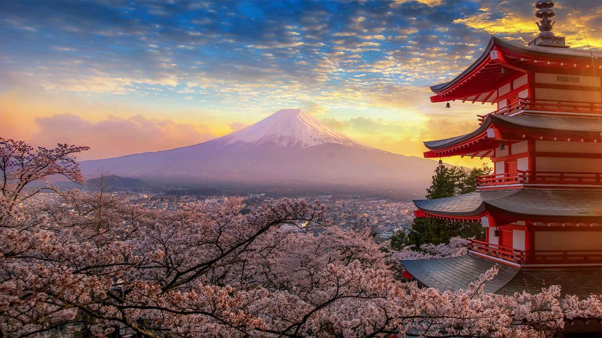 » Country Heritage Tours 