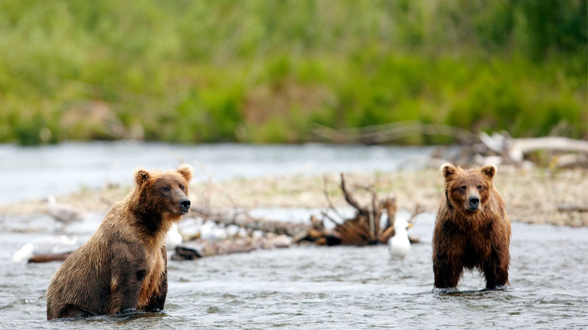 » Country Heritage Tours 