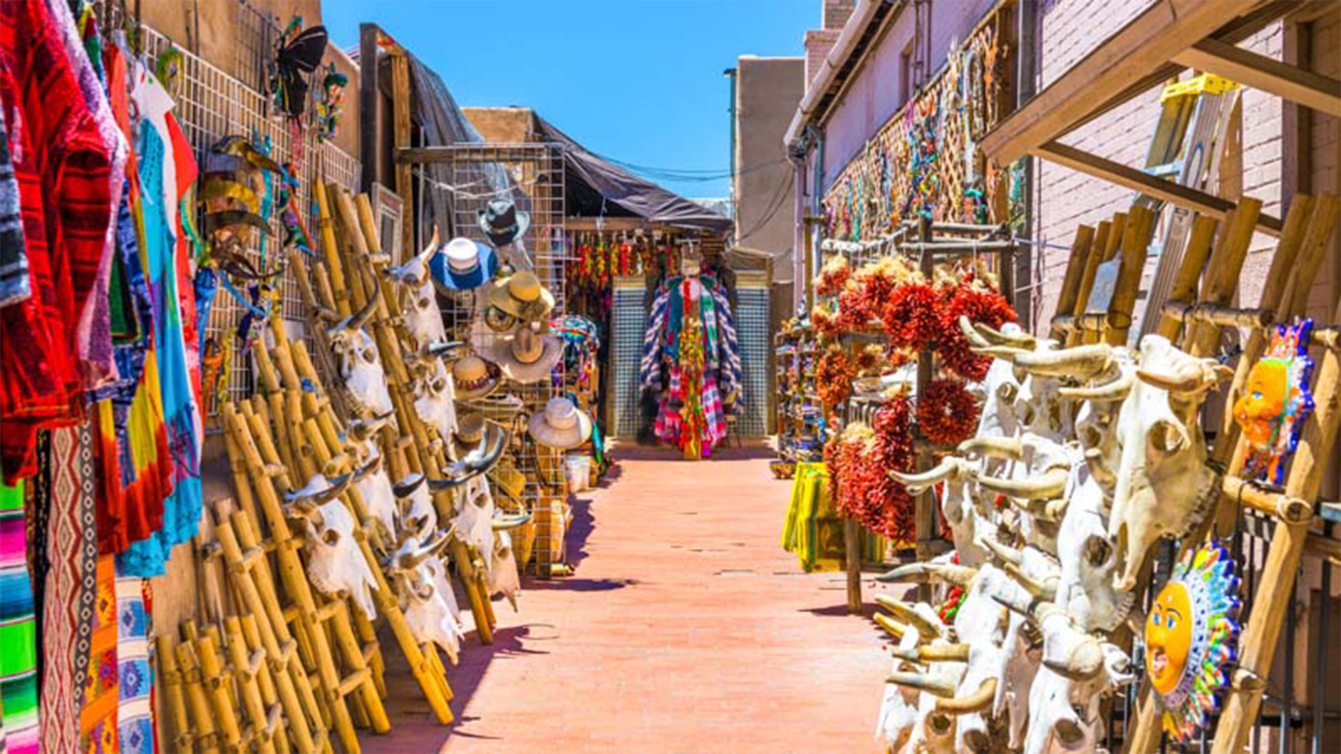 » Country Heritage Tours 