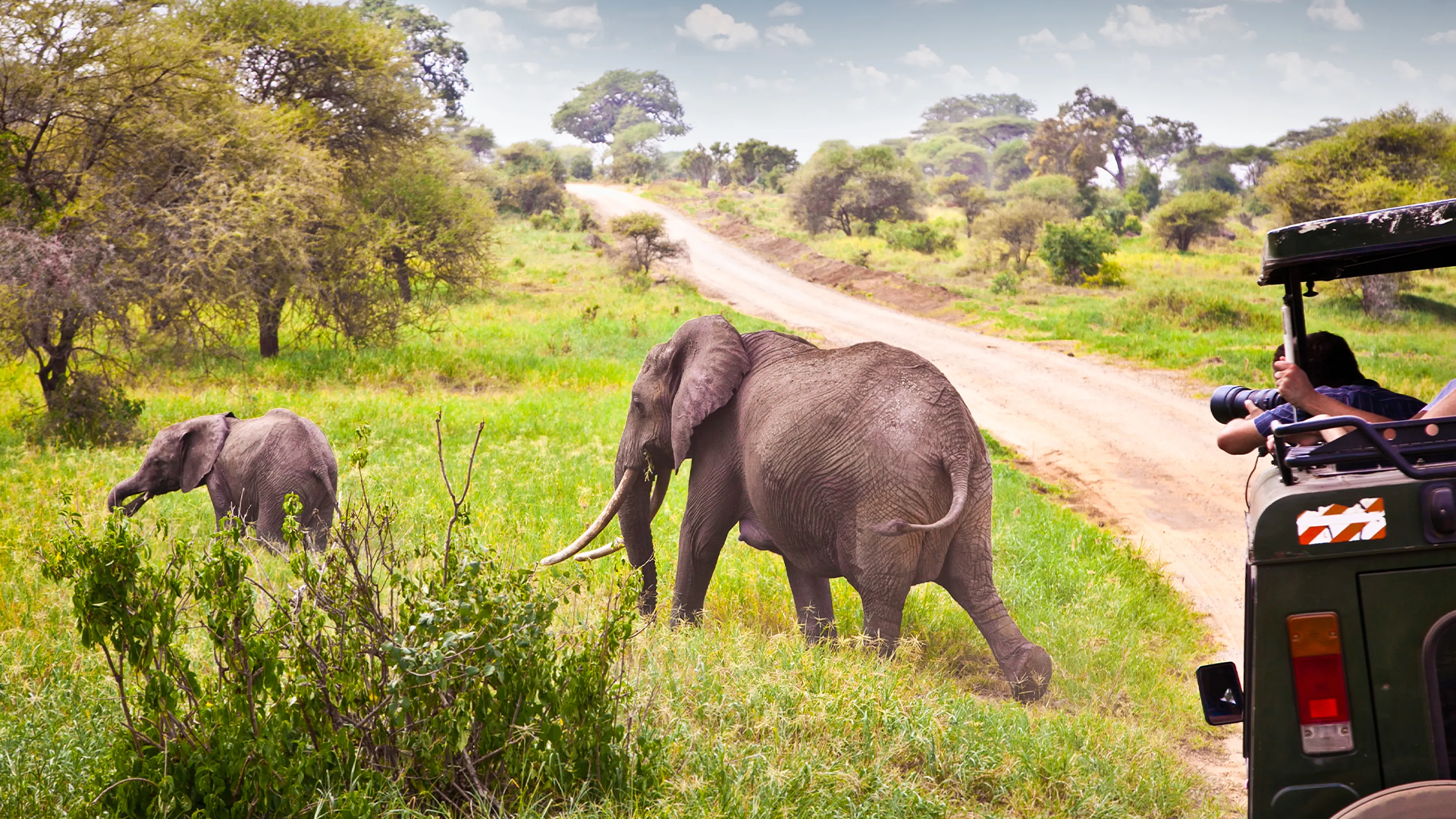 » Country Heritage Tours 