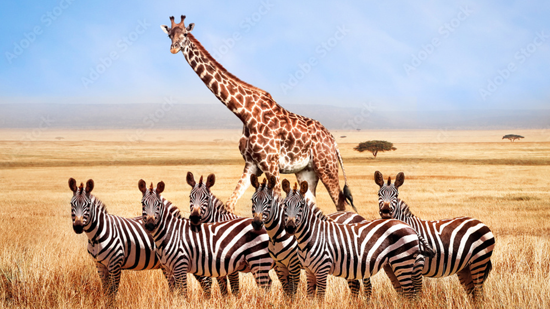 » Country Heritage Tours 