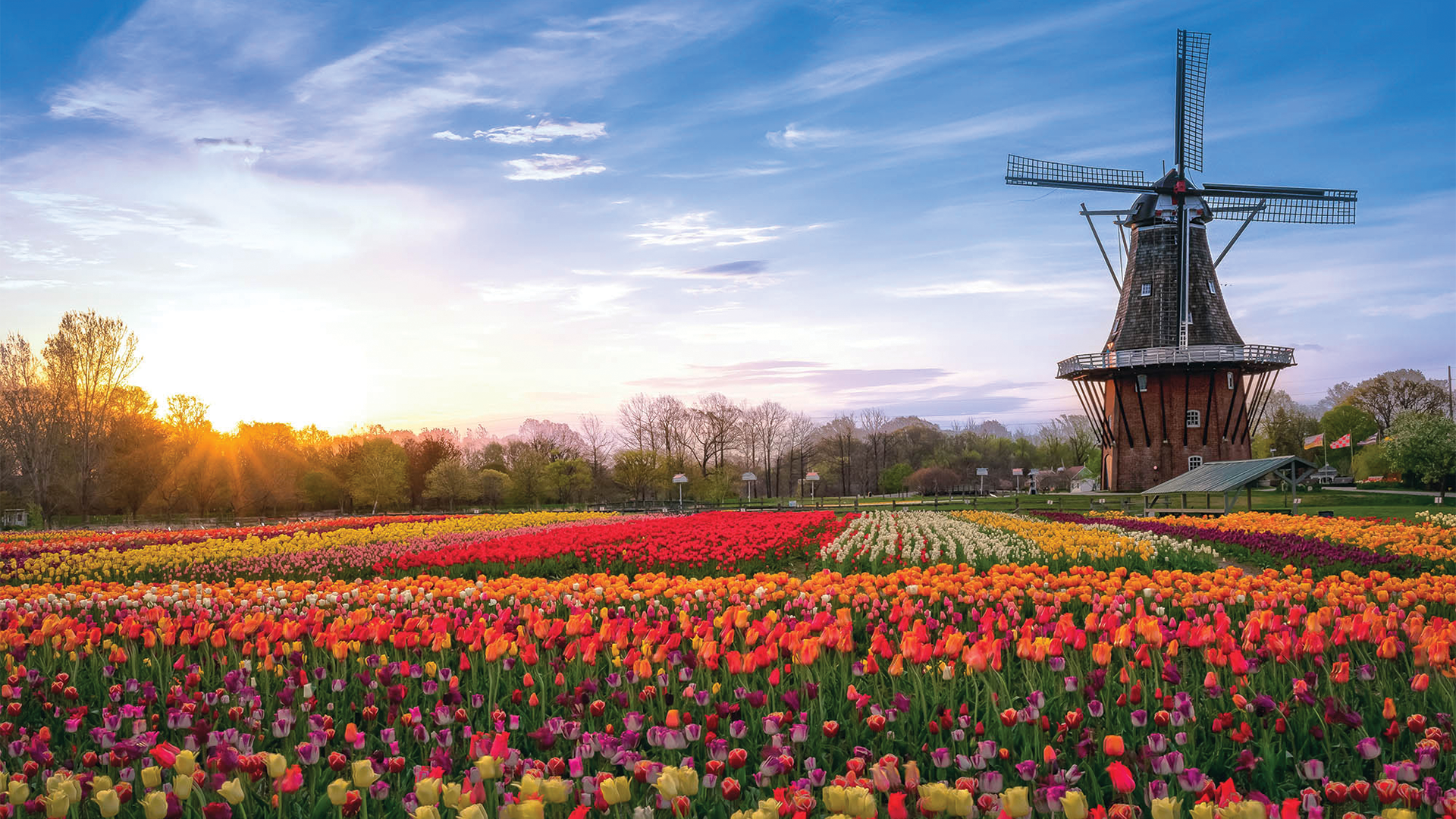 » Country Heritage Tours