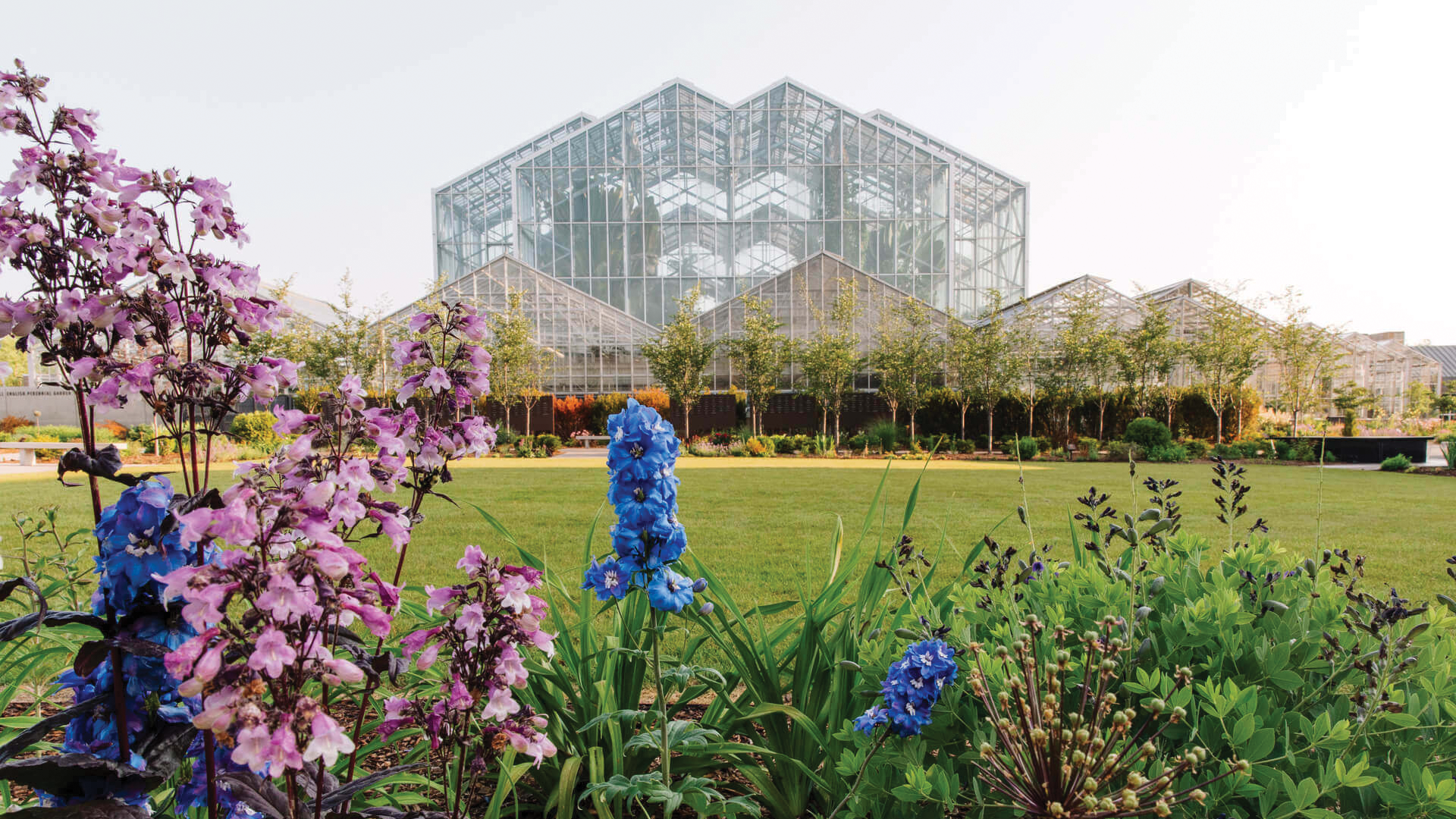 » Country Heritage Tours