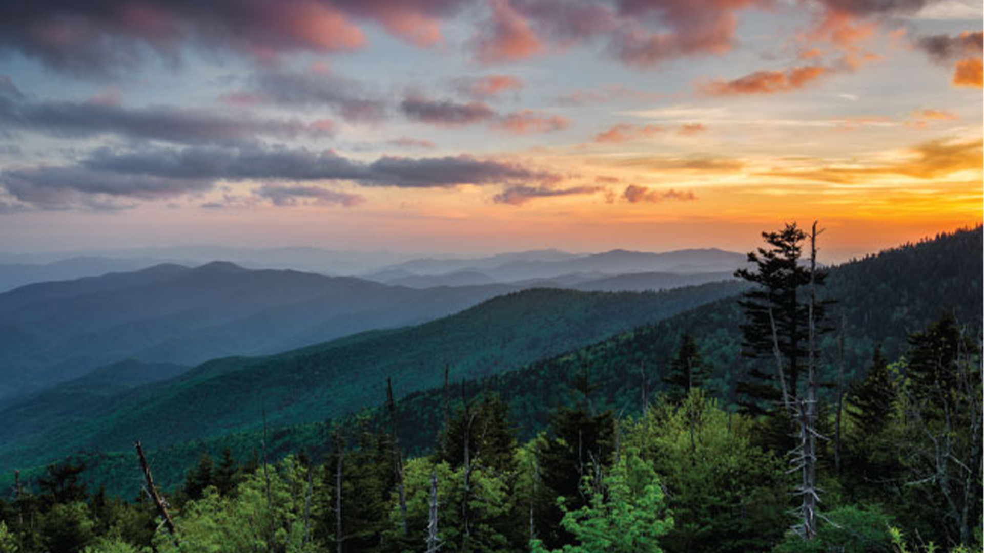» Country Heritage Tours